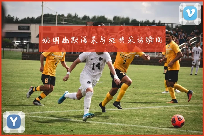 姚明幽默语录与经典采访瞬间
